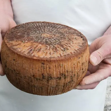 History And Charm Appartement *