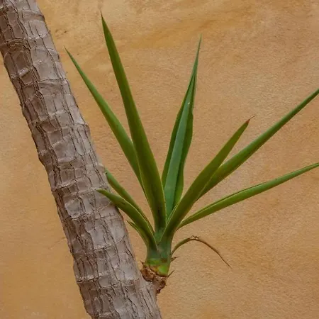 History And Charm Appartement