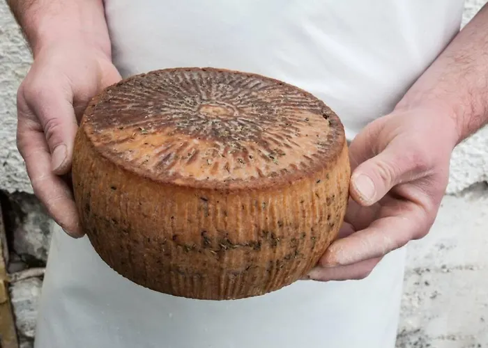 History And Charm アパート *