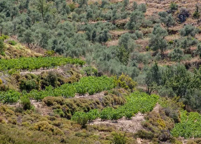 Διαμέρισμα History And Charm *