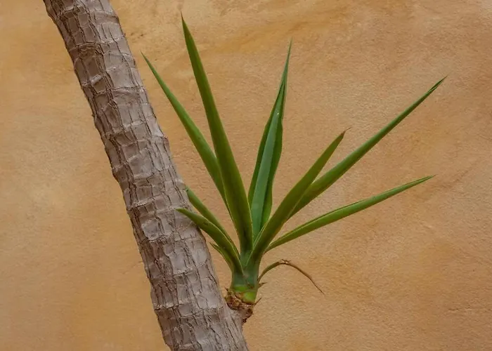 History And Charm アパート