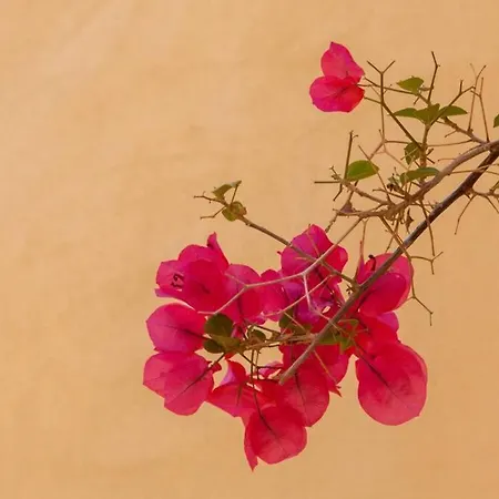 History And Charm * La Canea